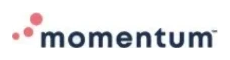 Momentum logo